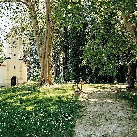 Mokrice Castle Estate 4* Dobova